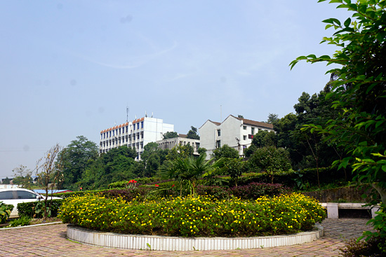 重庆市红春藤技工学校 重庆市红春藤技工学校