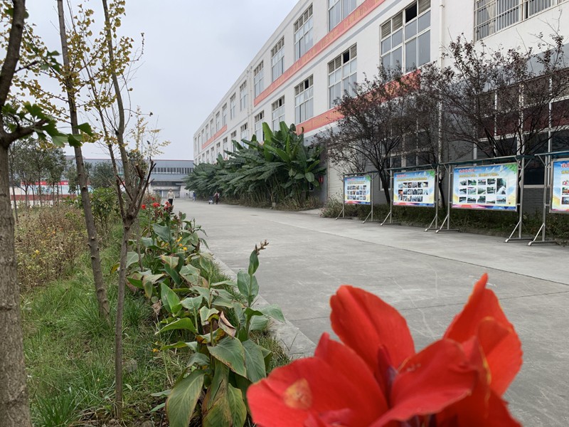 成都青华职业学校 成都青华职业学校