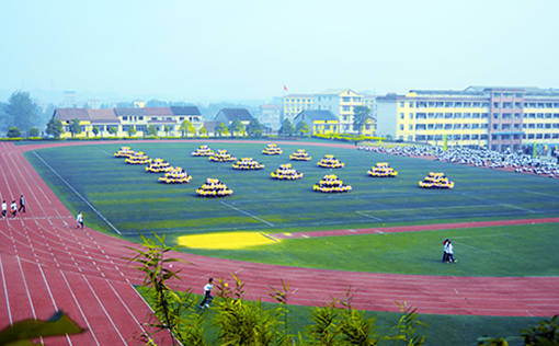 桃源县职业中等专业学校 桃源县职业中等专业学校