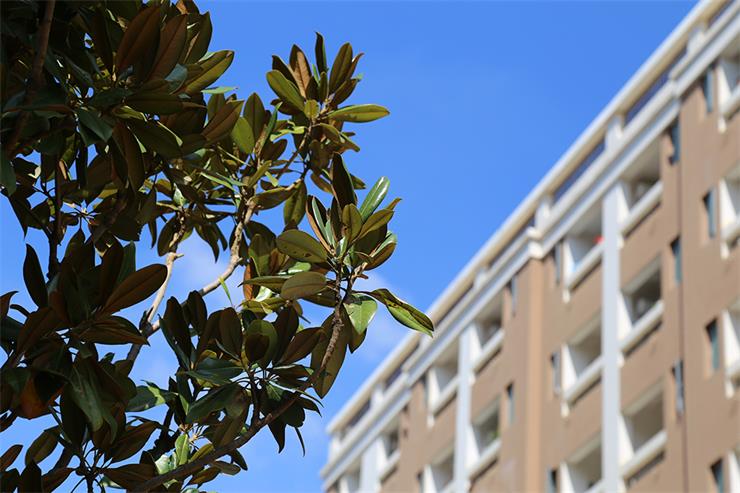 云南耀兴卓越技工学校 云南耀兴卓越技工学校
