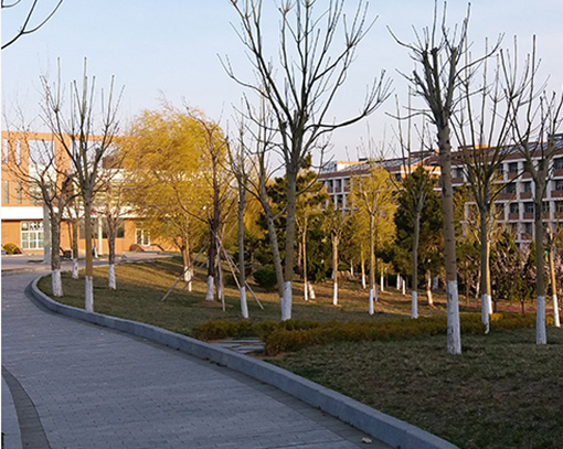 莱芜市旅游学校 莱芜市旅游学校