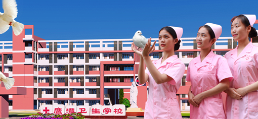 鹰潭卫生学校 鹰潭卫生学校